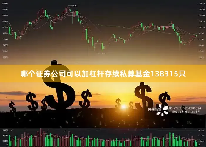 哪个证券公司可以加杠杆存续私募基金138315只