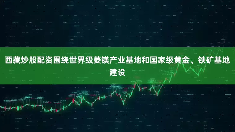 西藏炒股配资围绕世界级菱镁产业基地和国家级黄金、铁矿基地建设